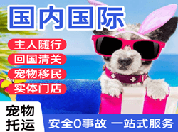虹桥机场托运国际宠物托运 【国